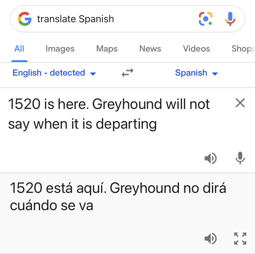 screenshot of Google translation from English to Spanish